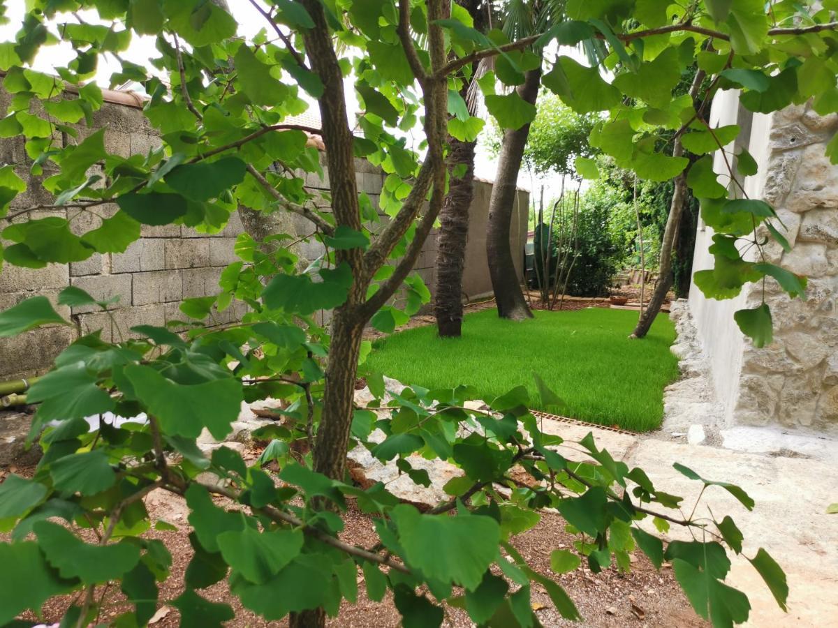 Ginko House Apartman Abbázia Kültér fotó